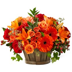 Harvest Moon Bouquet<br><b>FREE DELIVERY from Flowers All Over.com 